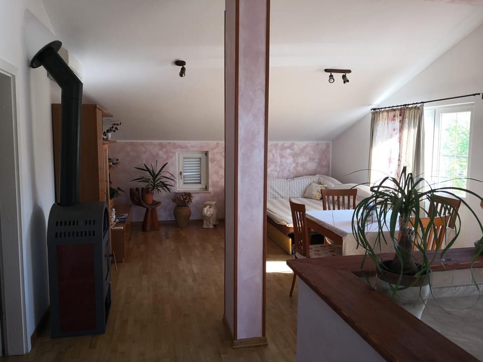 Appartment Štajon Apartment in Slovenia