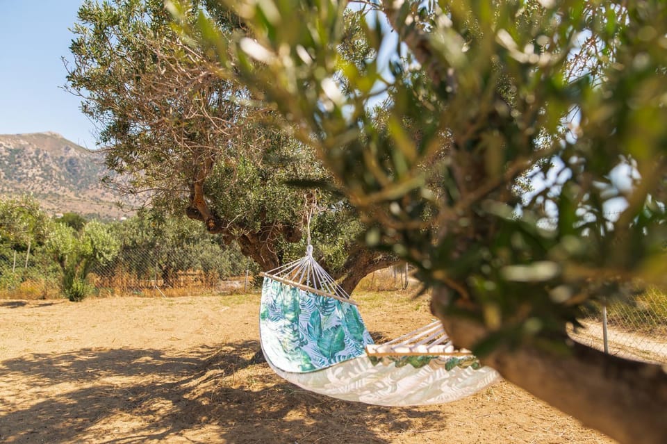 Livas Relaxing Villas in Kardamena House in Kos, Greece