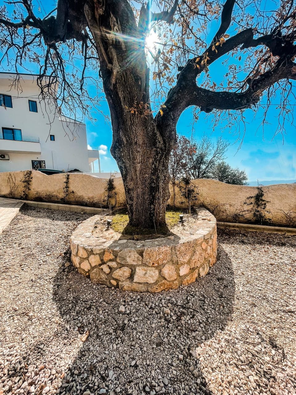 Day, Natural landscape