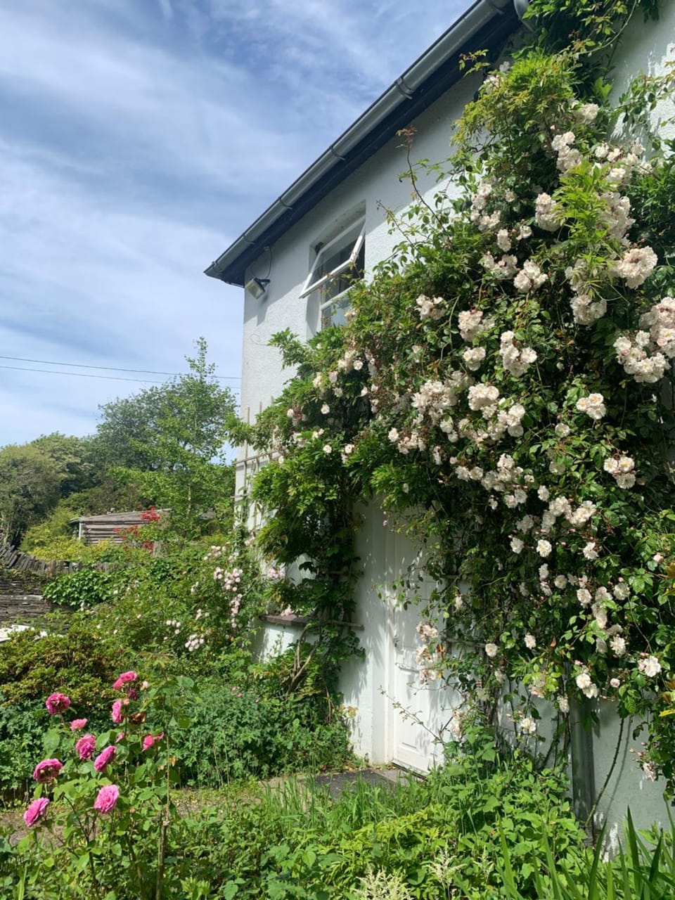 Property building, Garden