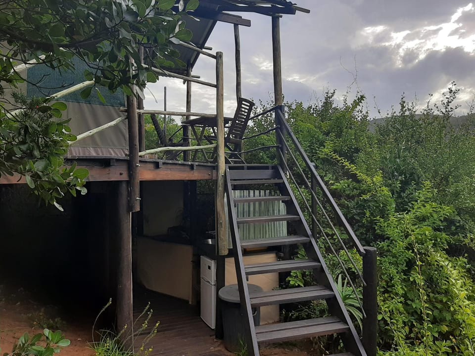 Natural landscape, Garden view