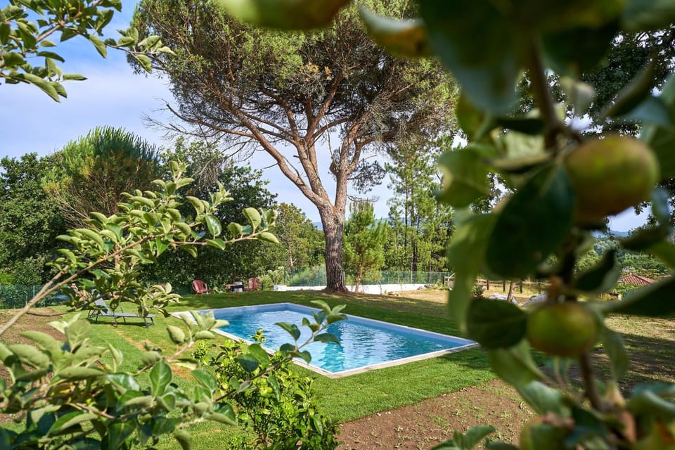 Épicos Farm Houses With Pool & Donkeys House in Viana do Castelo District