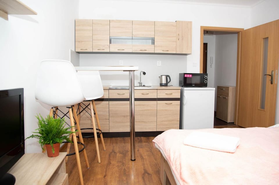 COSY STUDIO IN NOVE ZAMKY Apartment in Slovakia