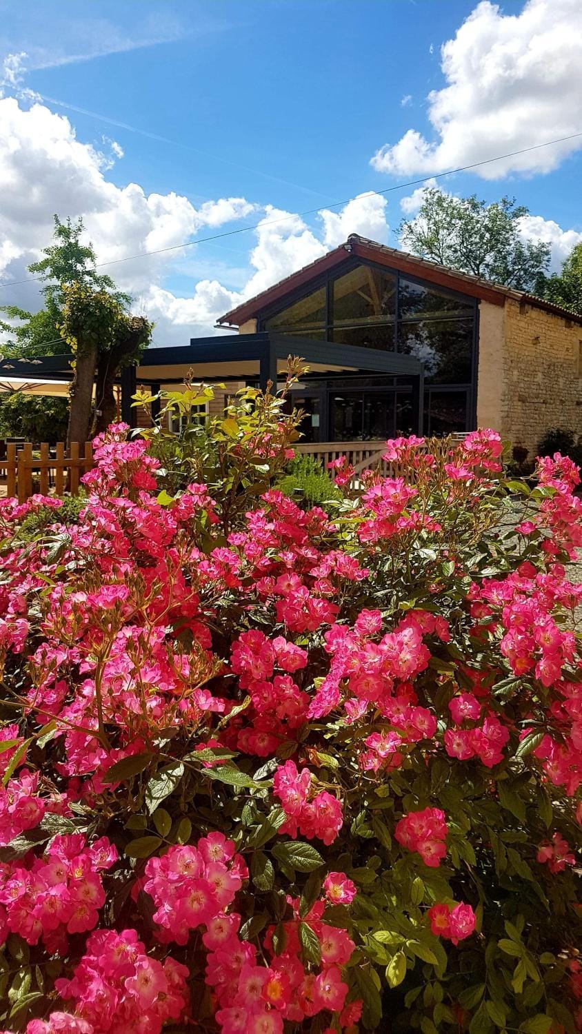 Property building, Patio, Restaurant/places to eat
