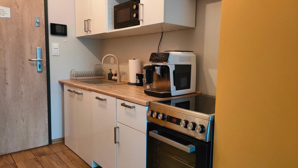 Kitchen or kitchenette, kitchen