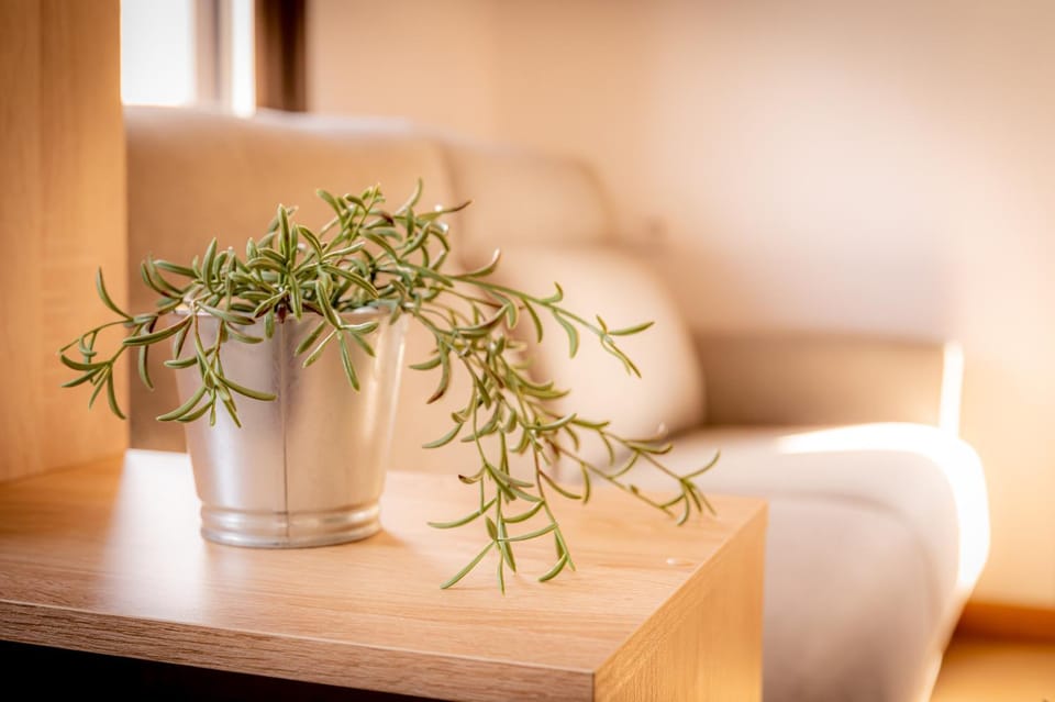 O Lar do Camiñante Apartment in Galicia