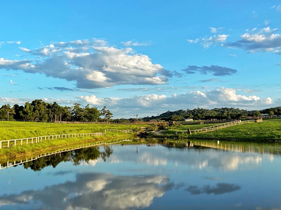 KUR-Cow farm escape 35 minutes from Cairns Campground/ 
RV Resort in Kuranda