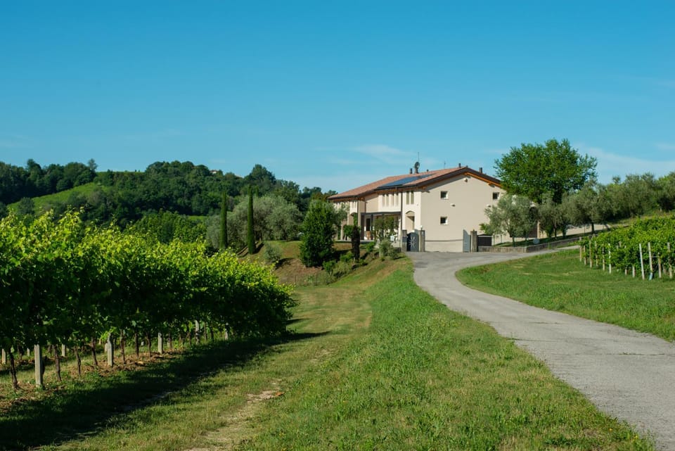 Property building, Day, Natural landscape, View (from property/room), Street view, Location, Quiet street view