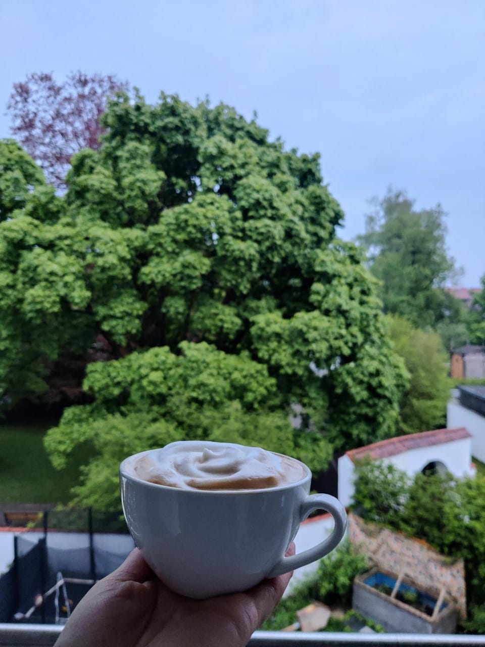 Drinks