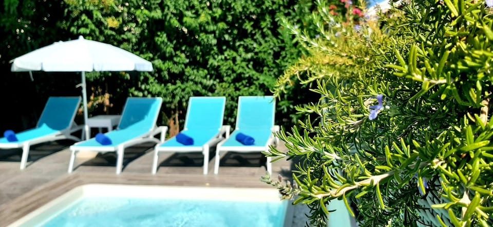 Day, Garden, Pool view, Swimming pool, sunbed