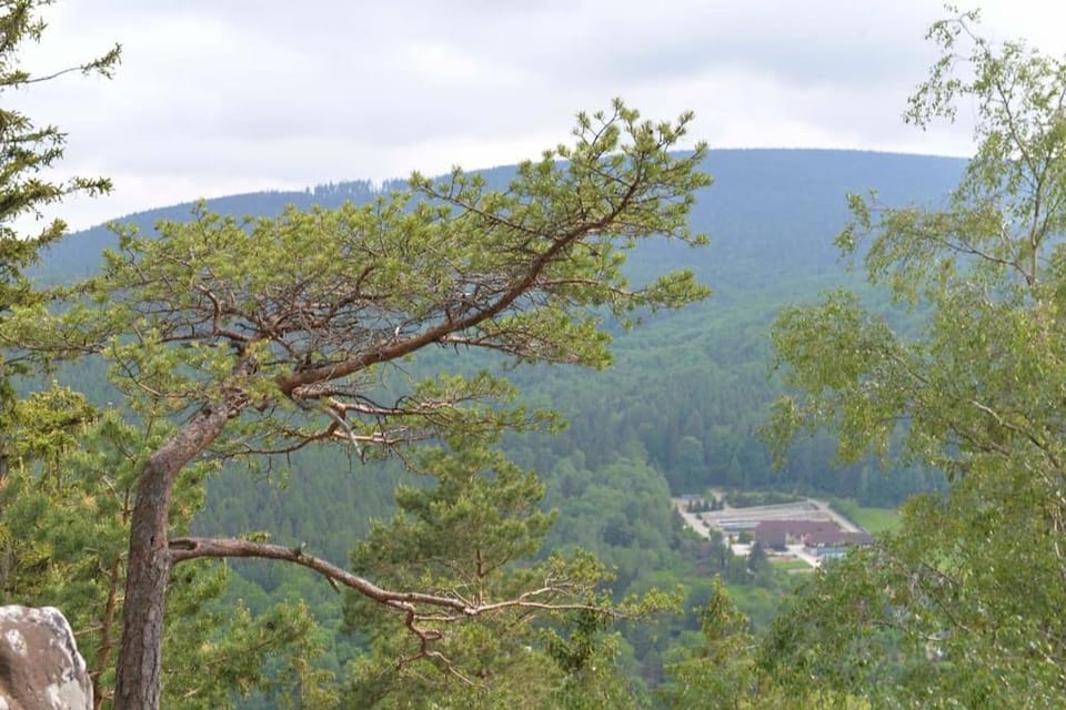 Apartament przy deptaku i Parku Zdrojowym - Polanica Zdrój Apartment in Lower Silesian Voivodeship