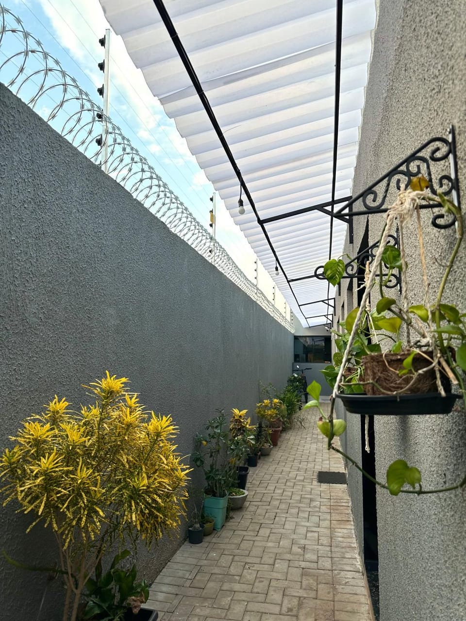 Day, Garden view