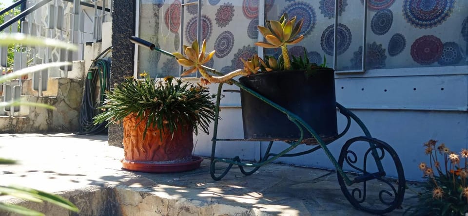 Day, Garden, Decorative detail, Garden view