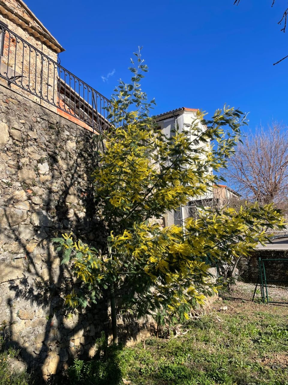 Spring