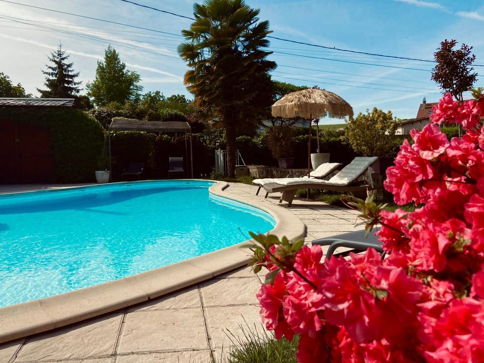 Pool view, Swimming pool, sunbed
