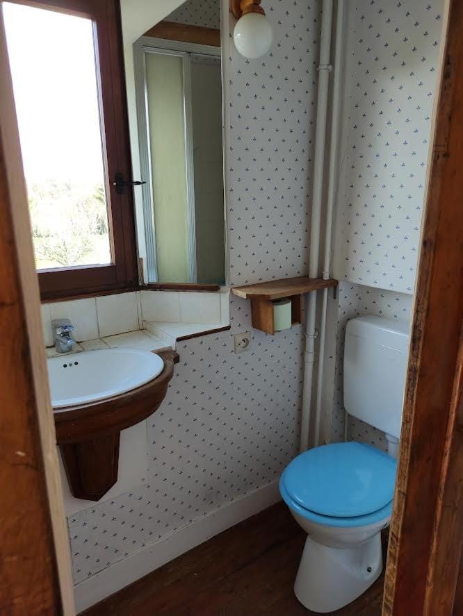 Toilet, Bathroom