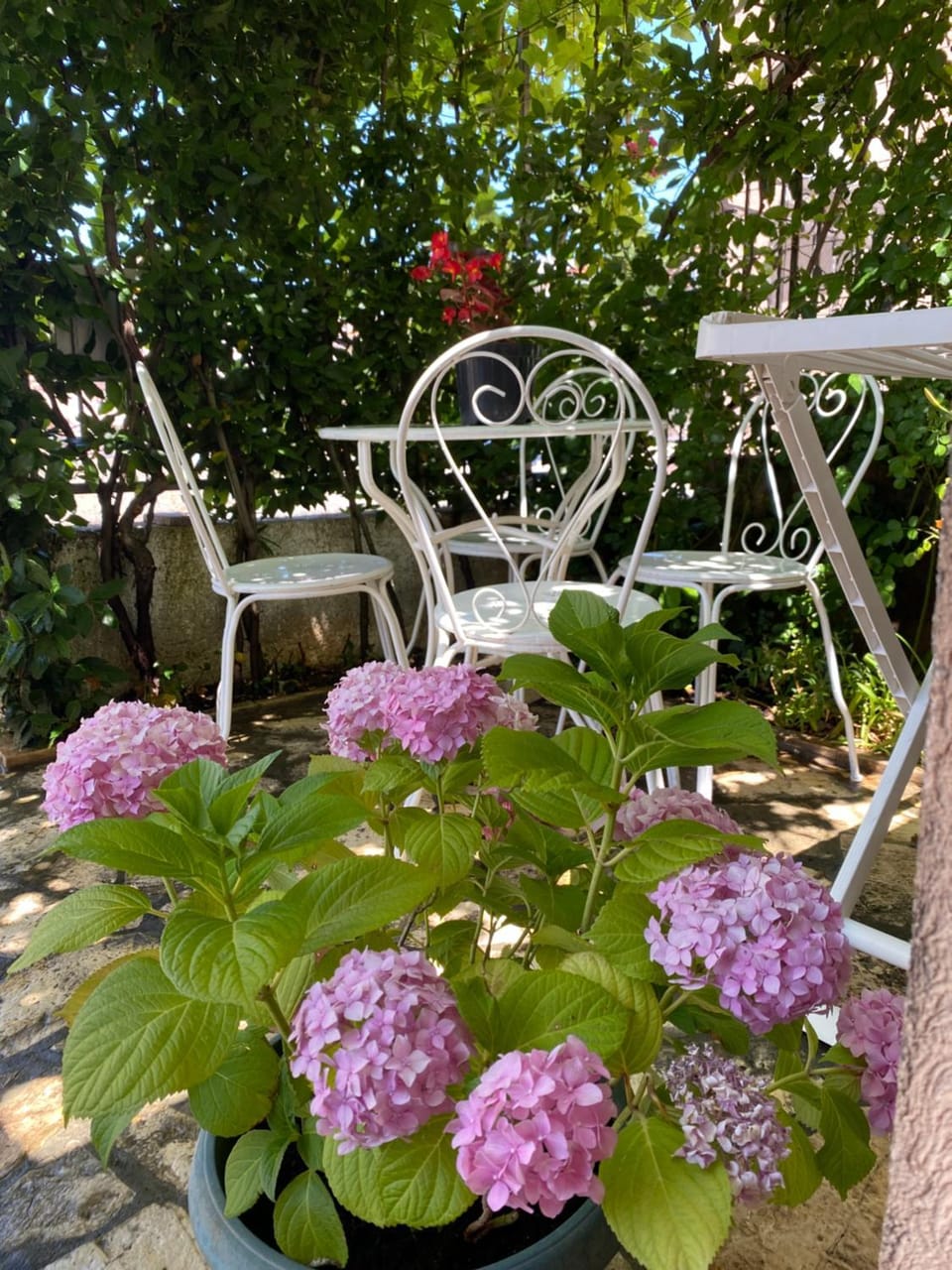 Apartment Ally Apartment in Crikvenica