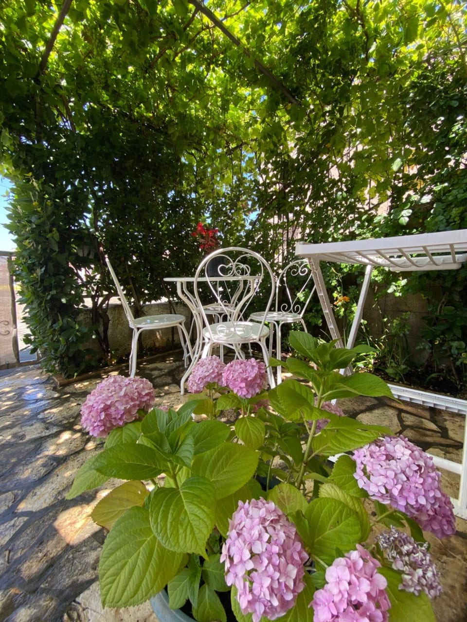 Apartment Ally Apartment in Crikvenica