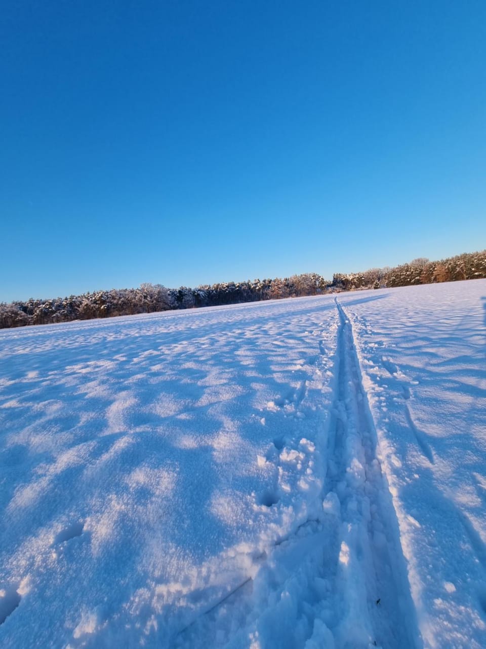 Natural landscape, Winter