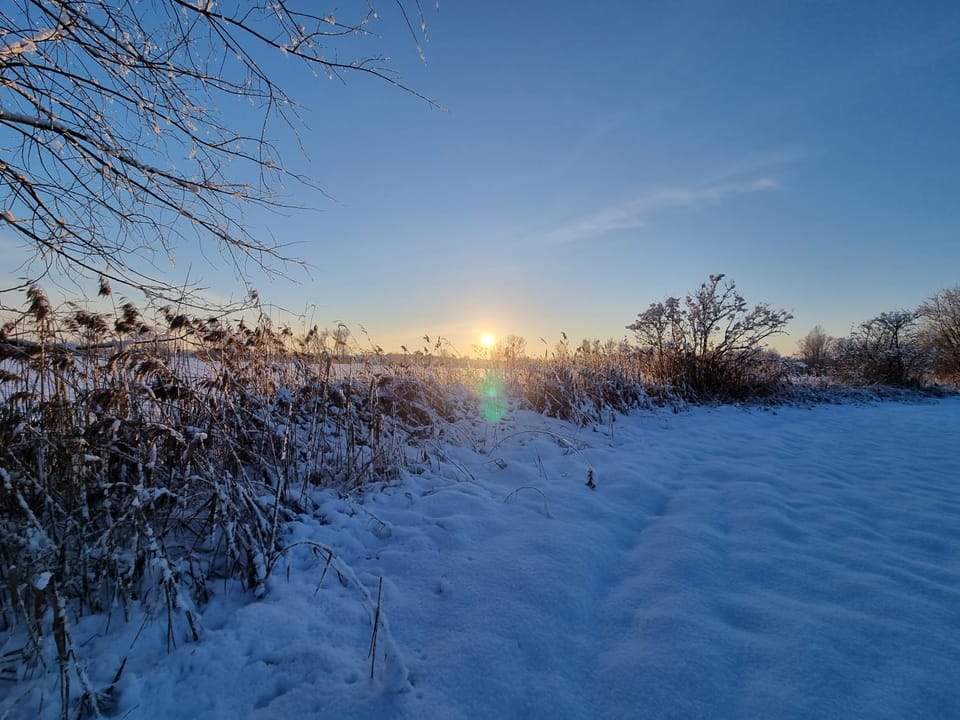 Natural landscape, Winter, Sunset