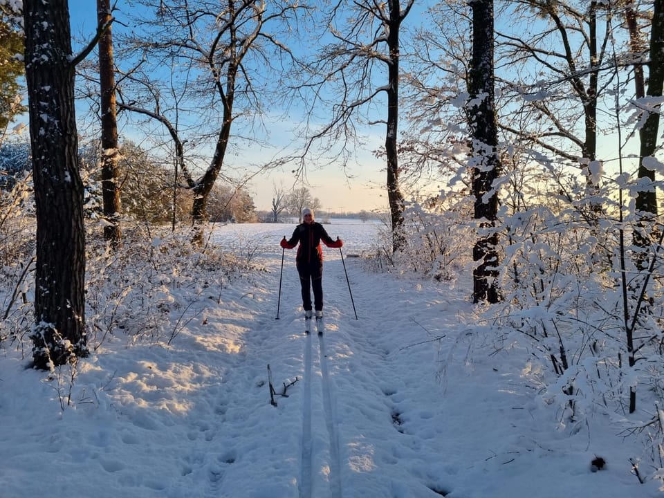 Natural landscape, Winter