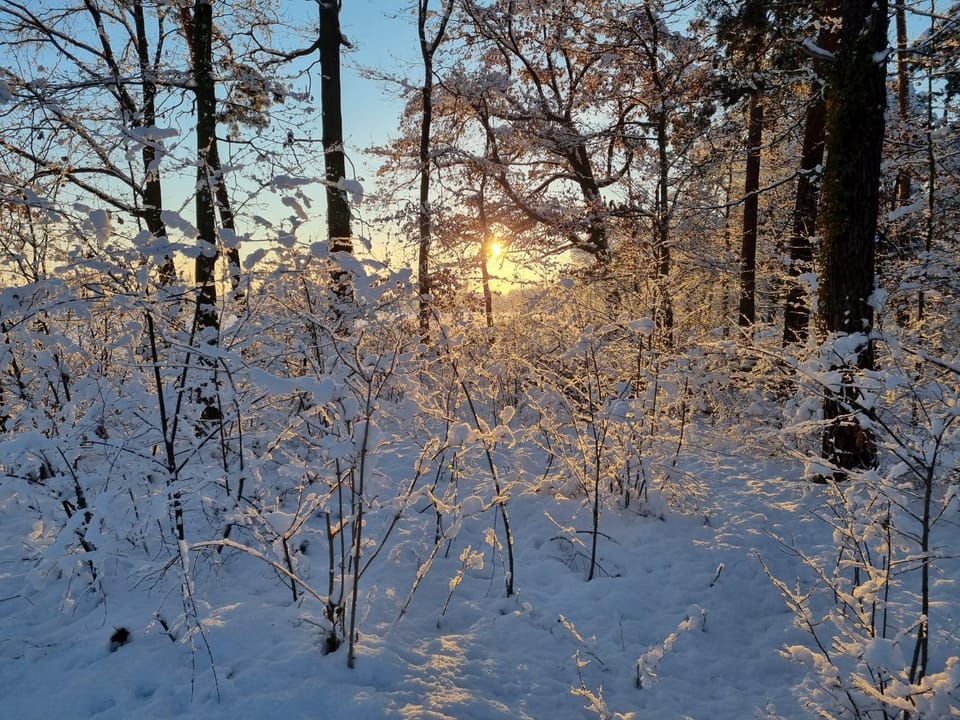 Natural landscape, Winter