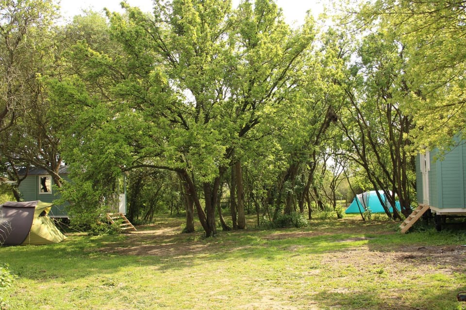 Garden, Garden view