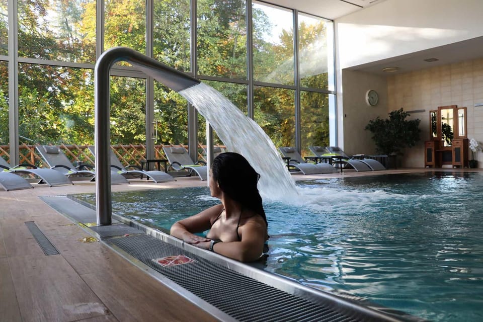 Spa and wellness centre/facilities, Swimming pool