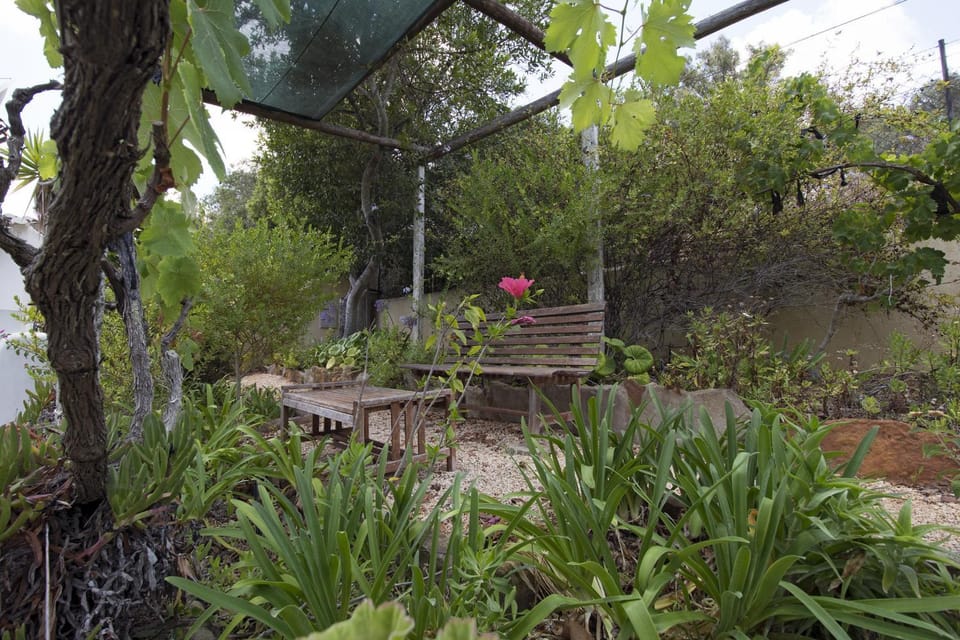 Patio, Garden, Garden view