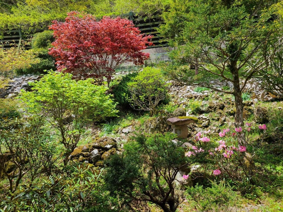 Ichimaru Ryokan - Vacation STAY 59257v Hotel in Japan