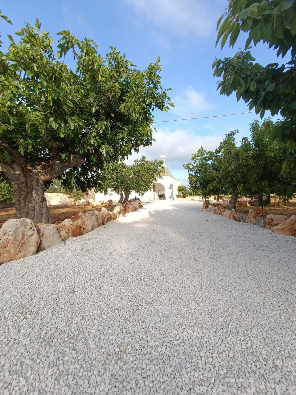 Demetra Trulli Experience Apartment in Apulia