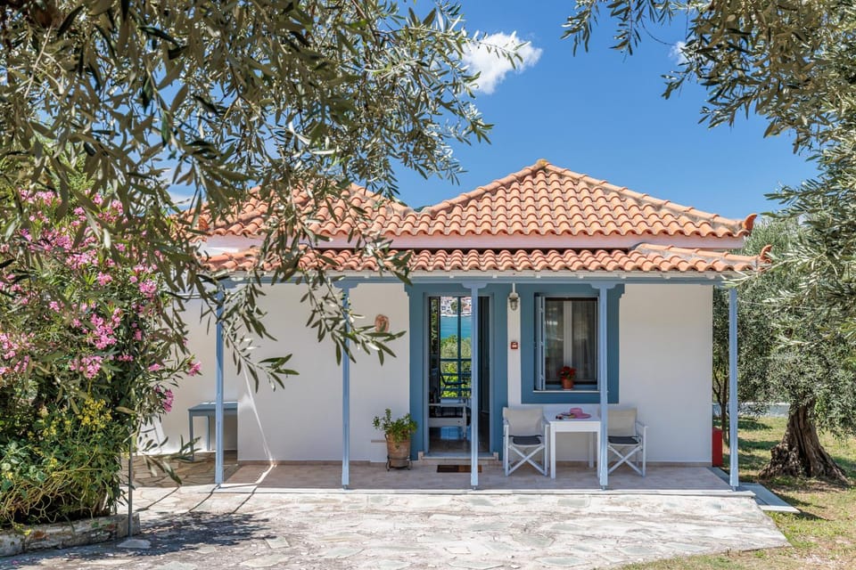 Property building, Patio, Garden
