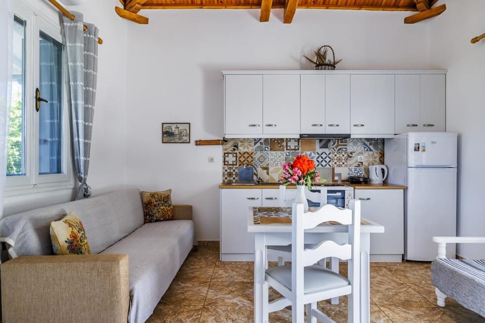 Kitchen or kitchenette, Living room, Seating area, Dining area, oven, stove