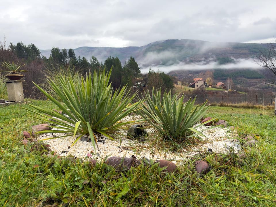 Vila Jotic, Zavojsko jezero Villa in Serbia
