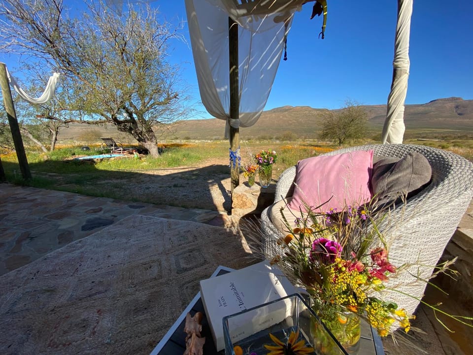 Patio, Spring, Day, Natural landscape, Pets, Mountain view