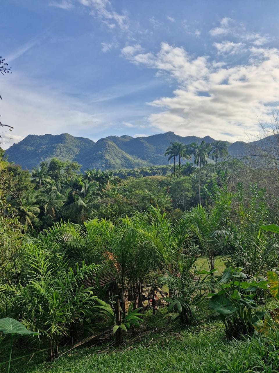 View (from property/room)