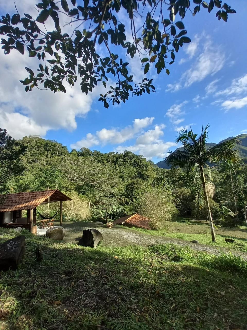 Nearby landmark, Natural landscape, Garden, Mountain view
