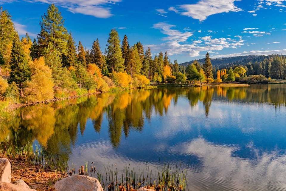Tree-Top Getaway House in Lake Arrowhead