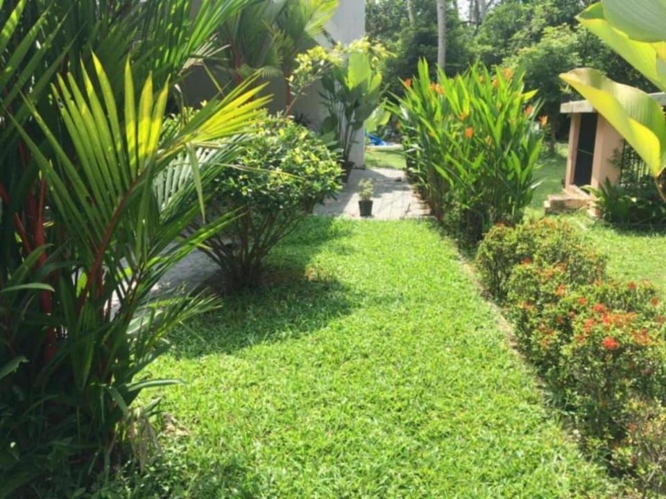 Natural landscape, Garden view