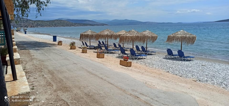 Natural landscape, Beach, sunbed