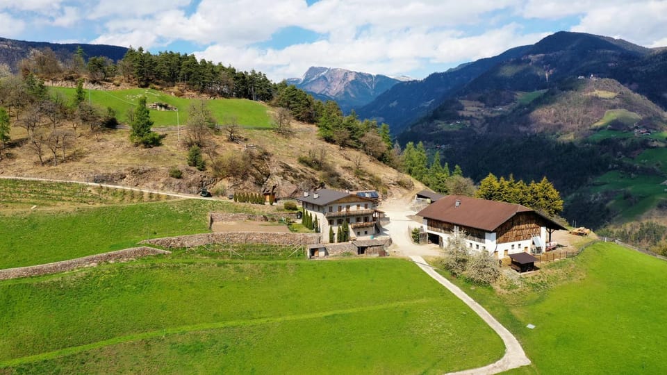 Property building, Day