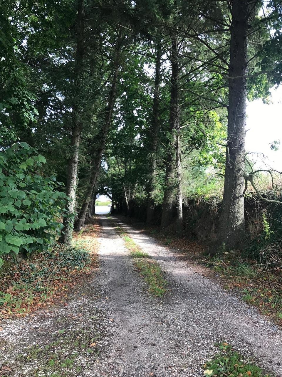 PARC AR BRUN BRAS Apartment in Brittany