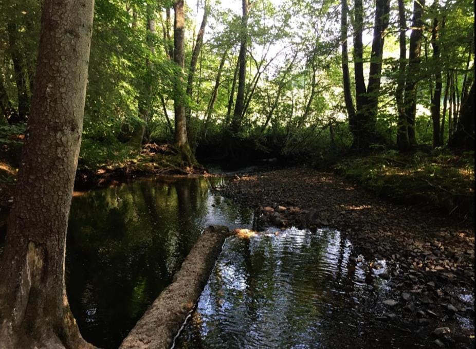 Spring, Day, Natural landscape, Hiking, Lake view
