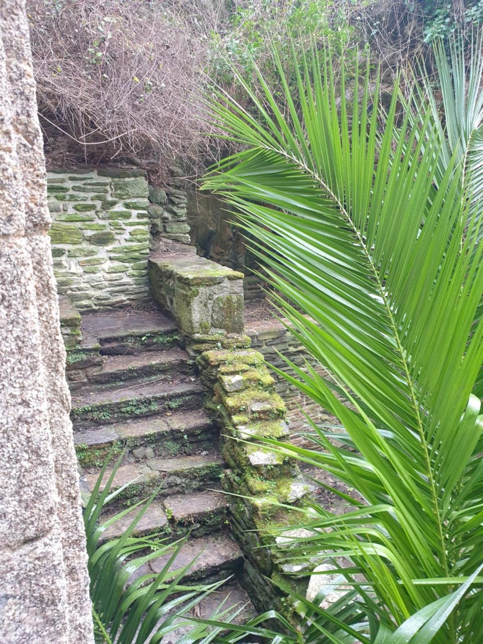 Le Drellac'h Apartment in Plougonvelin