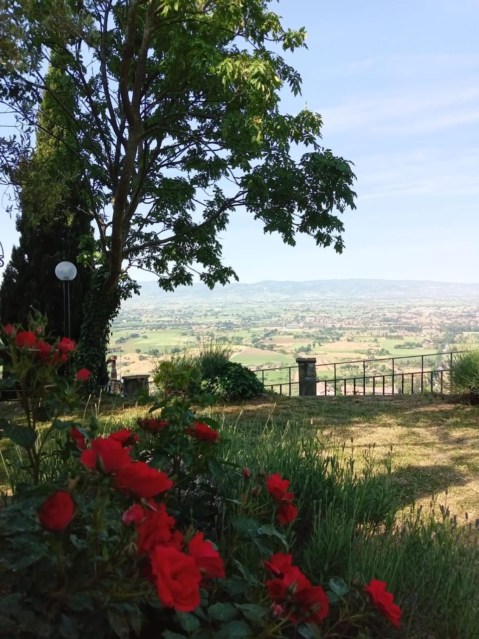 Natural landscape, Garden