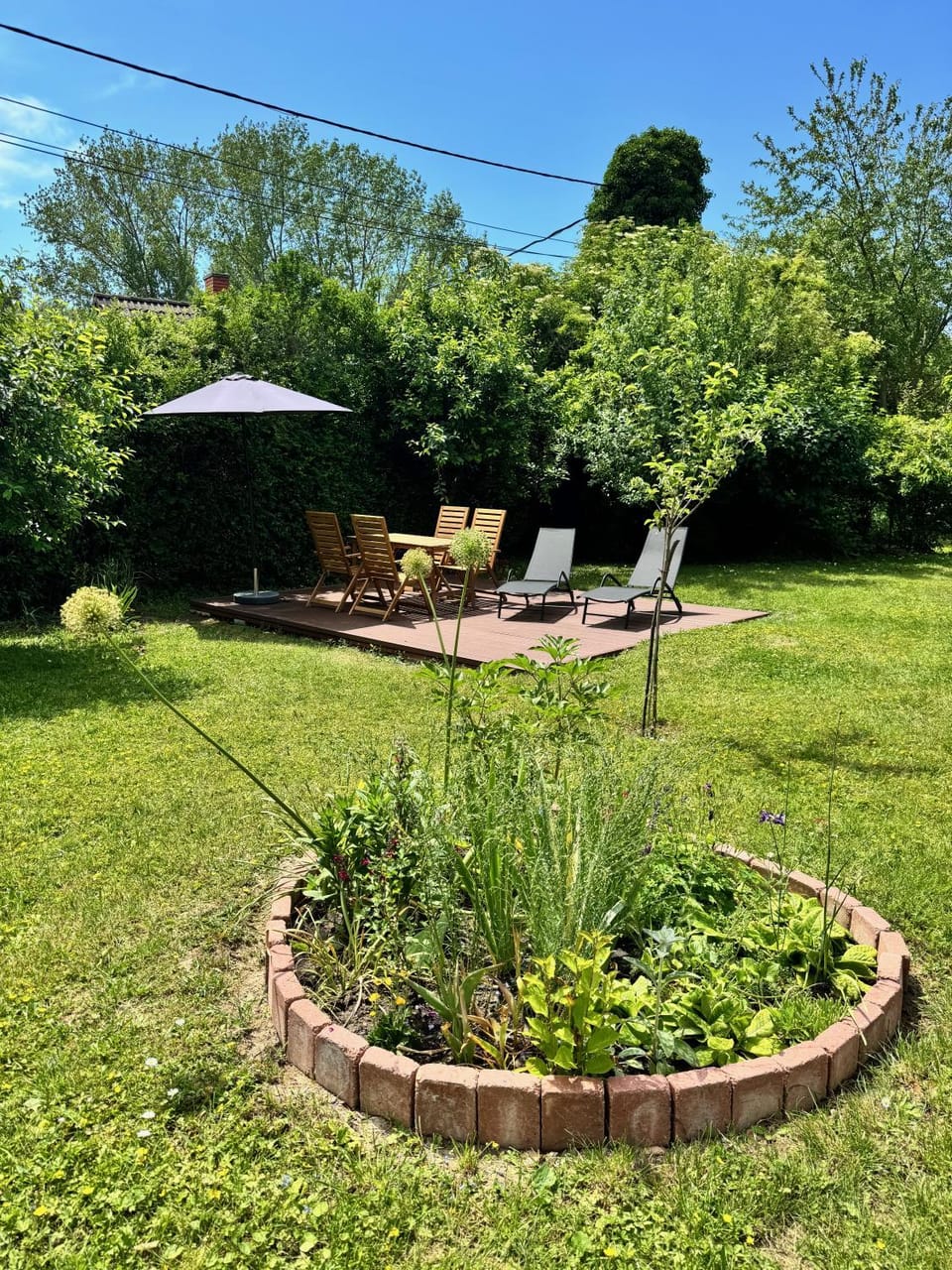 Patio, Day, Garden, Garden view, sunbed