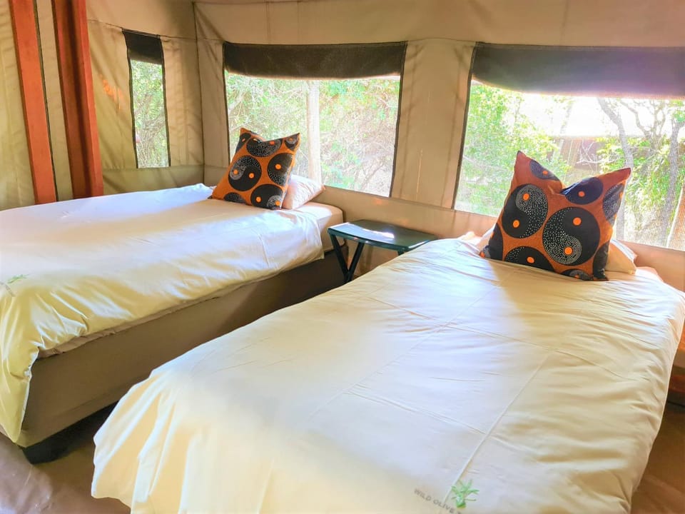 The Wild Olive Tree Camp Luxury tent in South Africa
