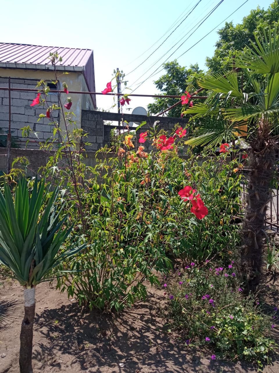 Likas haus Bed and Breakfast in Adjara, Georgia