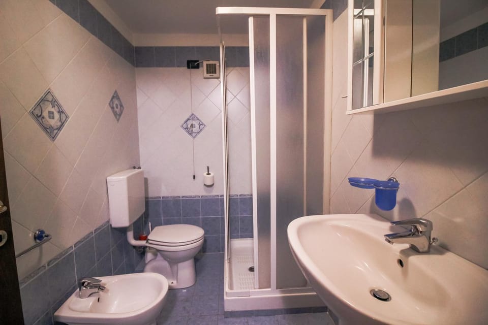 Shower, Toilet, Bathroom, bidet