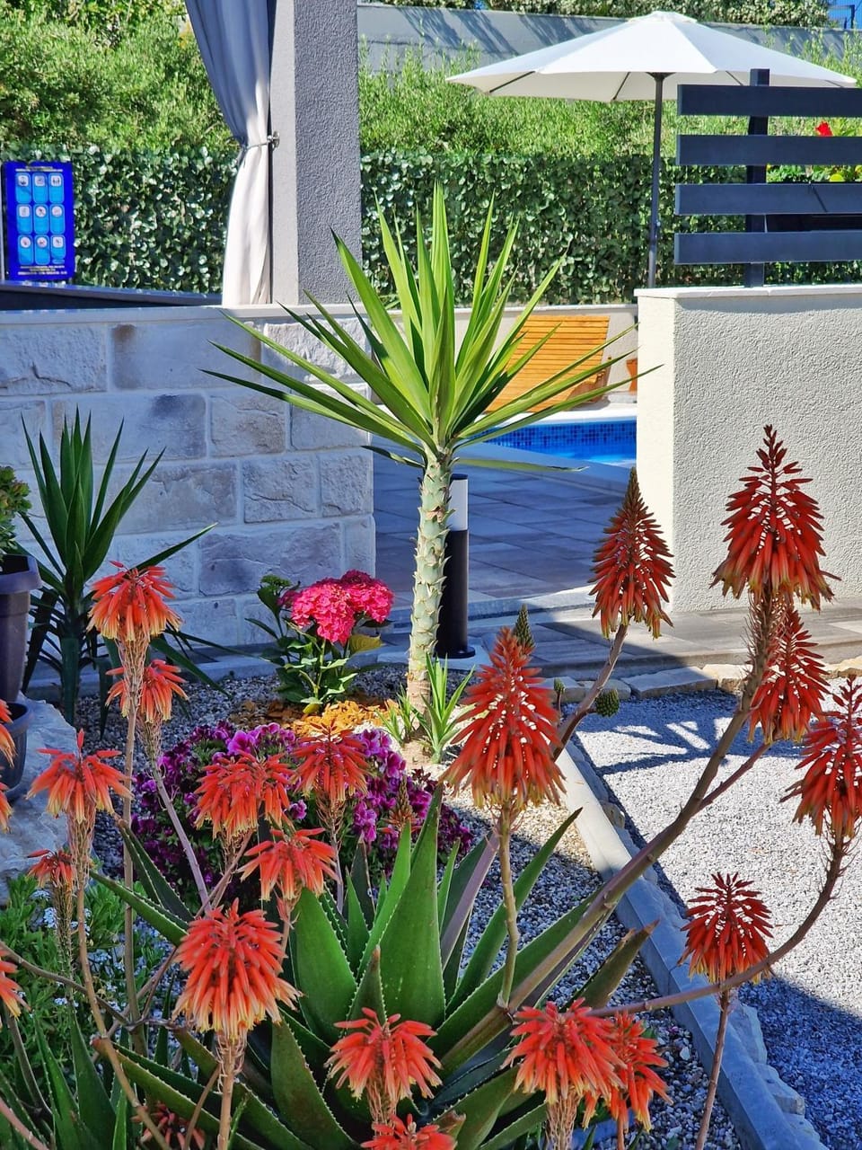 Garden view